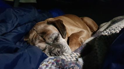 24 IMG-20180127-WA0015.jpg