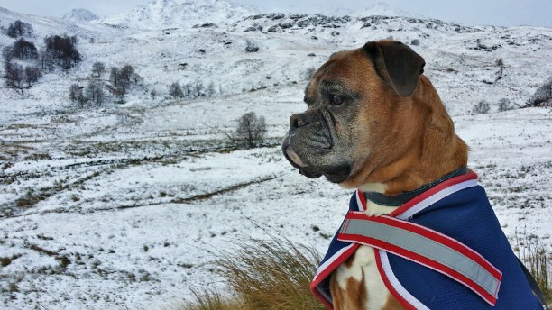 6 20170113_115032_Richtone(HDR)