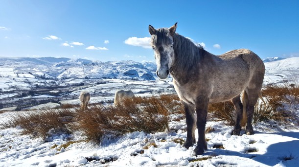 1 20180405_103212.jpg