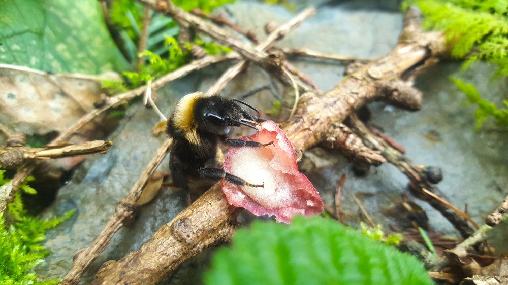 1 20180504_105202.jpg