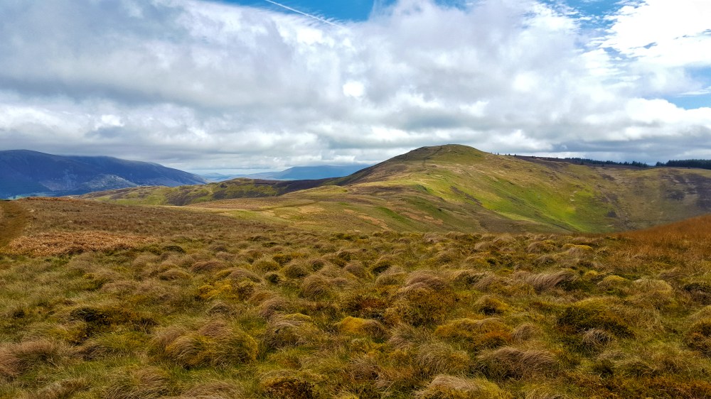 1 20180504_131039.jpg