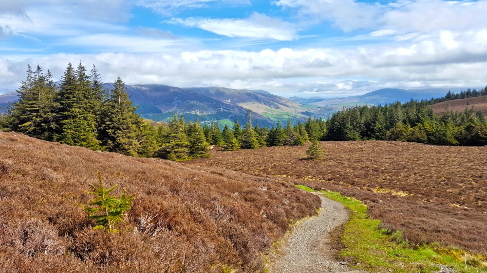 1 20180504_133540.jpg