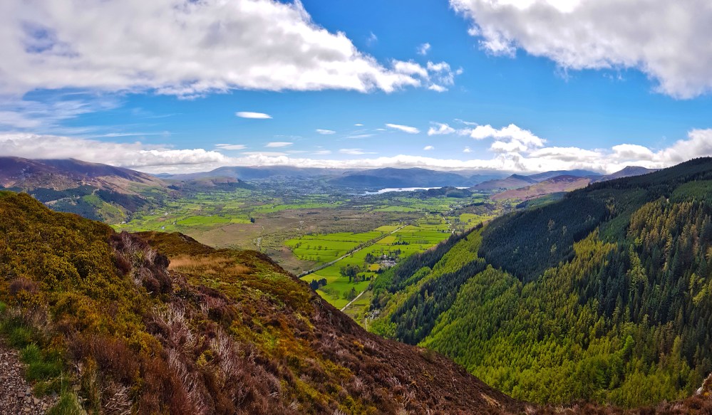 2 20180504_114939 3.jpg