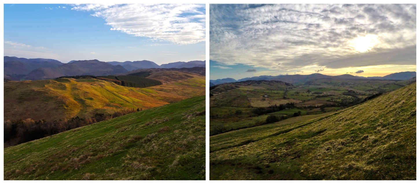 BeFunky-collage 3.jpg