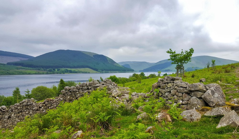 1 2 20180531_131414.jpg