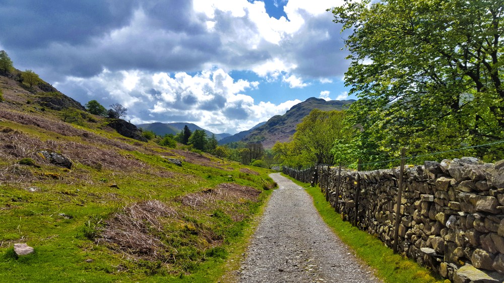 1 20180510_130203 2.jpg