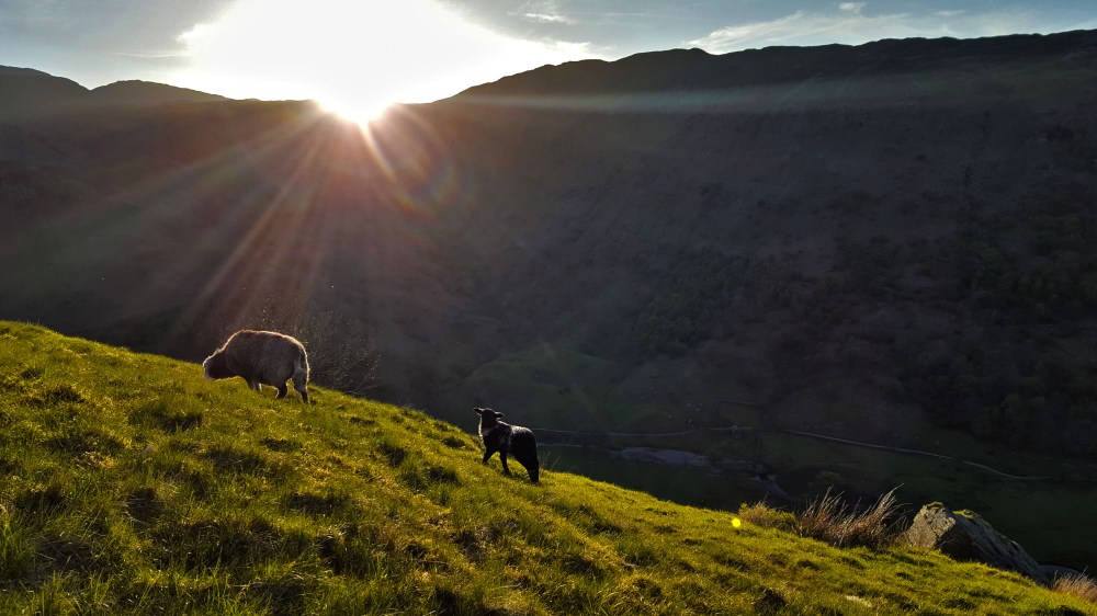 1 20180514_200201.jpg