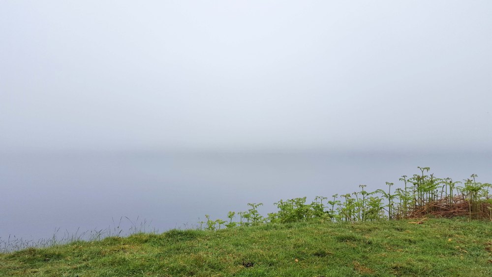 1 20180531_084923.jpg