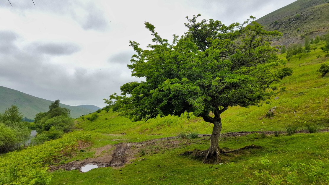 1 20180531_134954.jpg