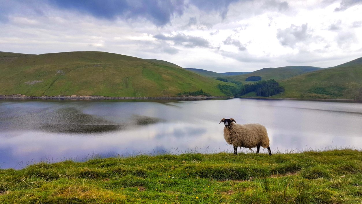 5 20180531_193918.jpg