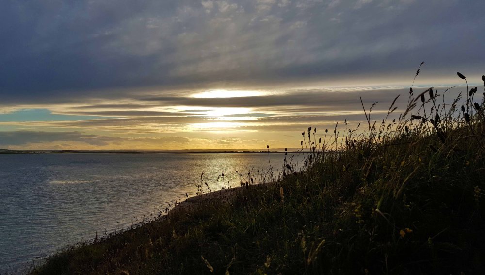 3 20180620_204101 edit.jpg