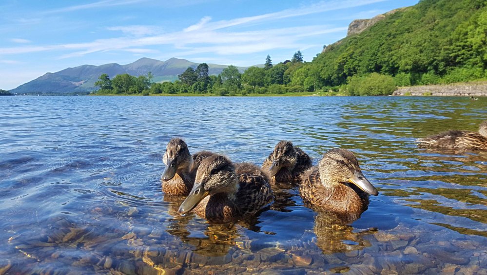 1 20180622_162156.jpg