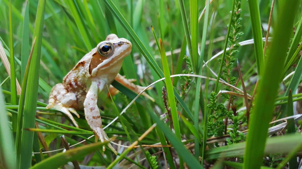 1 20180712_203431.jpg