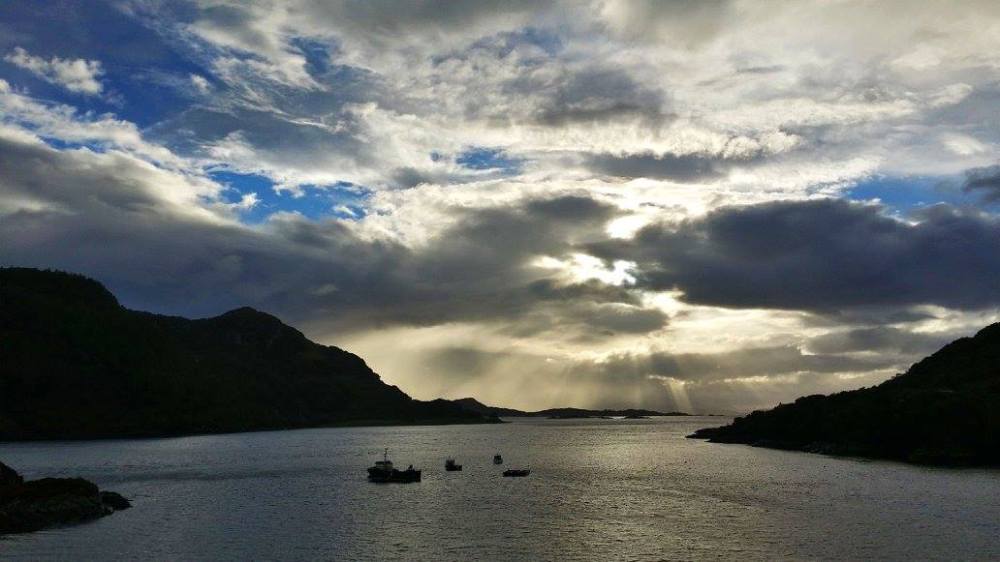 14682124_10157653851775323_4826642404712392793_o