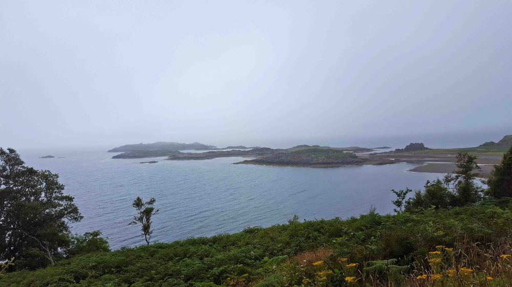 3 20180714_163932.jpg