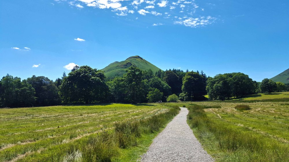 5 20180622_125521.jpg