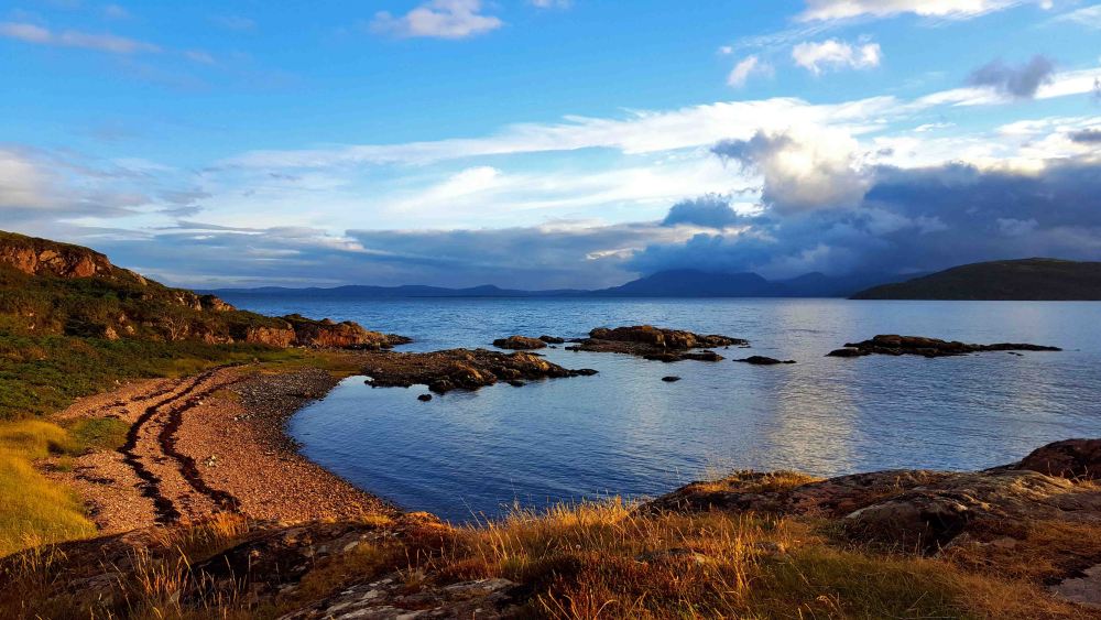 5 20180716_204654.jpg