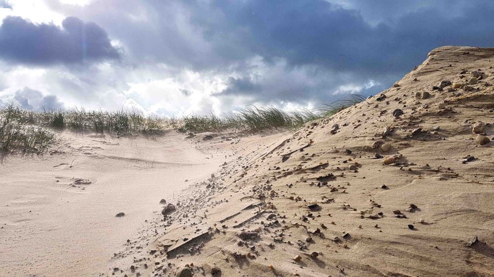 5 20180924_113937.jpg