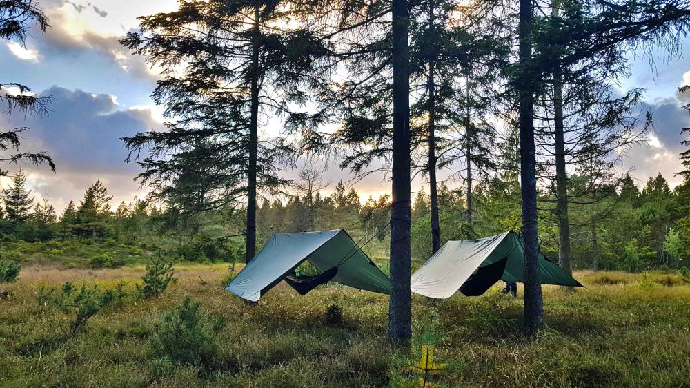 5 20180924_182901.jpg