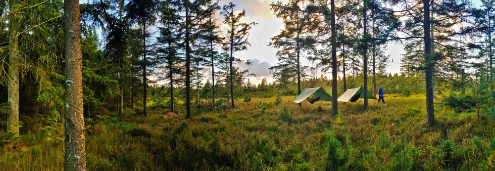 5 20180924_182916.jpg