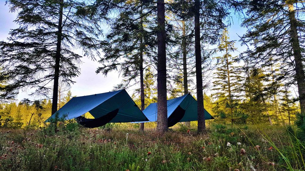 6 20180925_084328.jpg