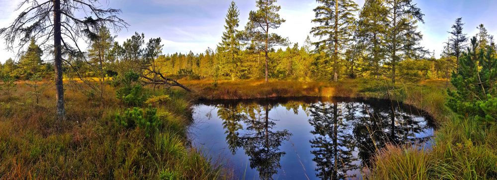 6 20180925_090522.jpg