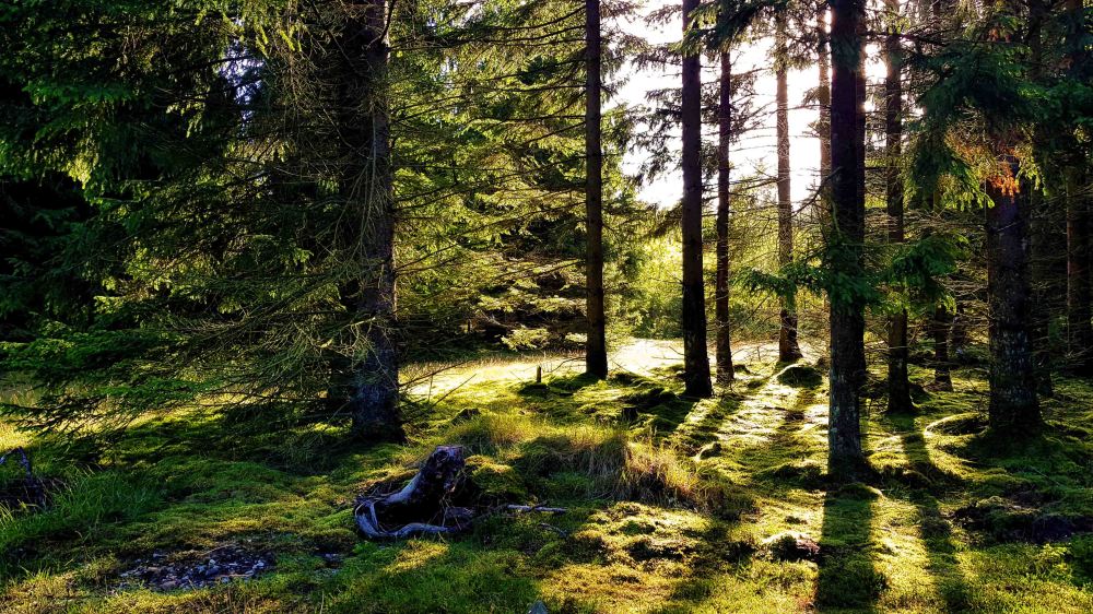 6 20180925_100739.jpg