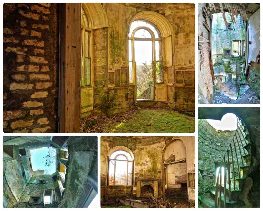 dalquharran collage 3.jpg